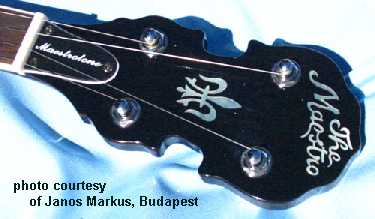 2002 Maestrotone 5 string banjo head